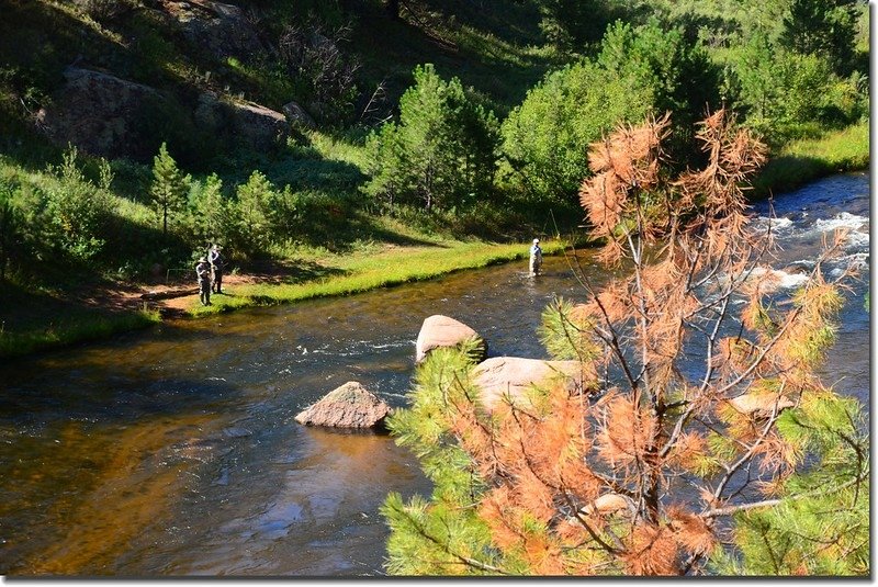 Fly fishing Cheesman Canyon on the South Platte River (1)