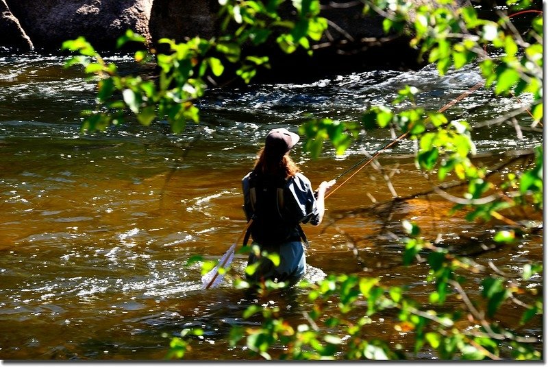 Fly fishing Cheesman Canyon on the South Platte River (9)