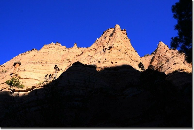 Unusual rock formations along the Slot Canyon Trail (6)