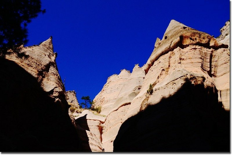 Unusual rock formations along the Slot Canyon Trail (7)