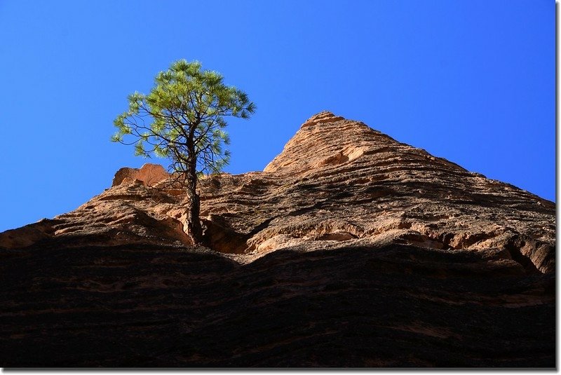 Unusual rock formations along the Slot Canyon Trail (8)