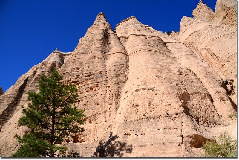 Unusual rock formations along the Slot Canyon Trail (10)