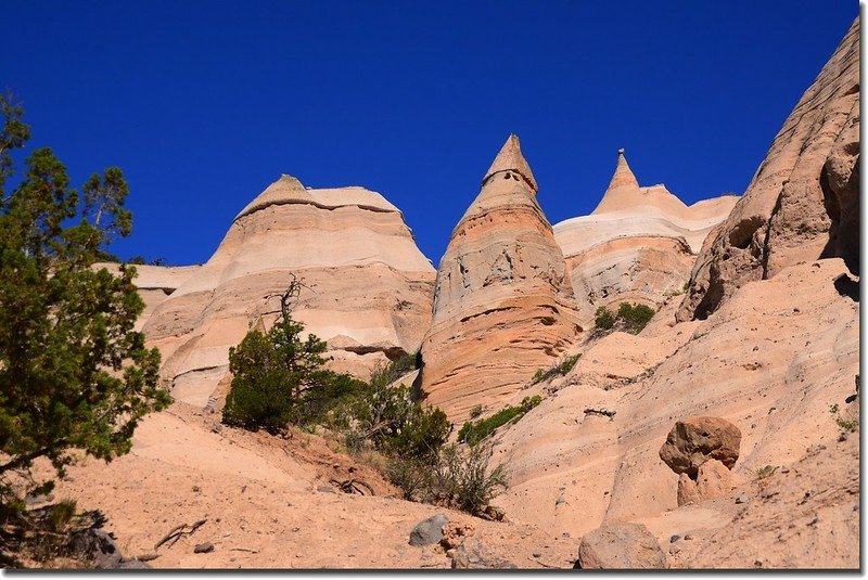 Unusual rock formations along the Slot Canyon Trail (13)