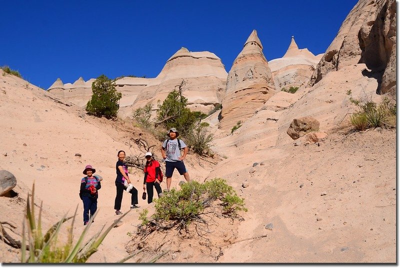 Unusual rock formations along the Slot Canyon Trail (14)