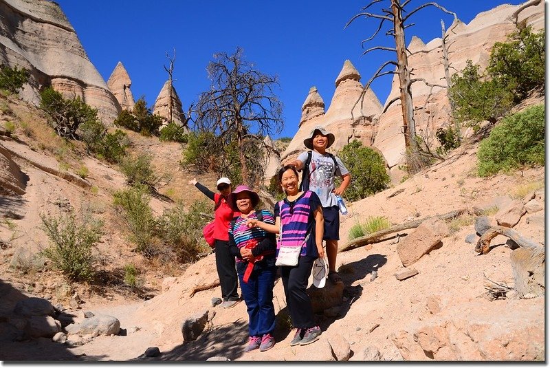 Unusual rock formations along the Slot Canyon Trail (20)