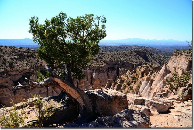 Taken from the upper part of the Slot Canyon Trail (3)