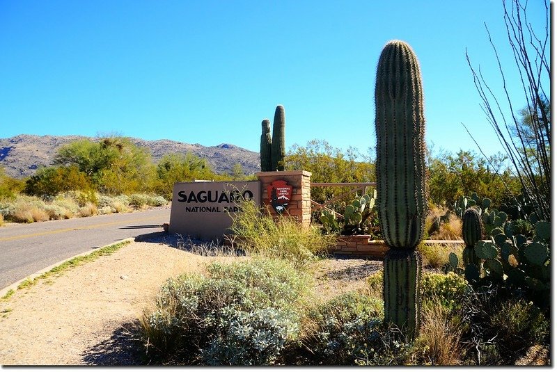 Rincon Mountain District, Saguaro National Park