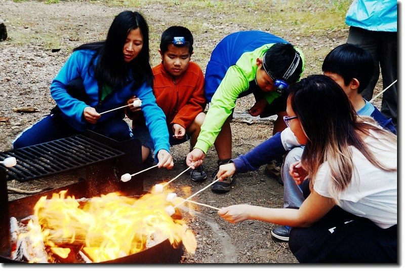 Roasting marshmallows 1