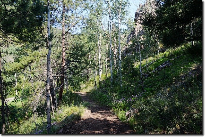 Hiking trail in White Ranch Park 2