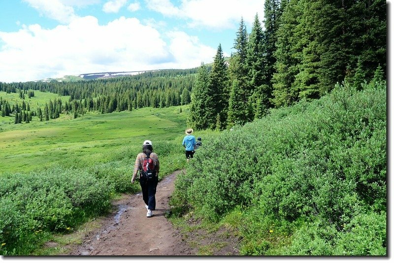 Shrine Mountain trail