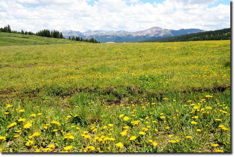 Looking down the valley towards Copper Mountain