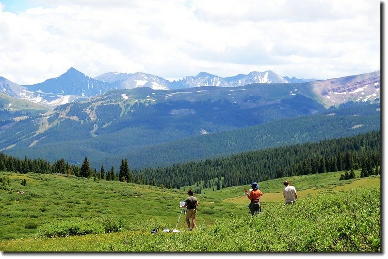 Somebody painting the scenery at the meadow