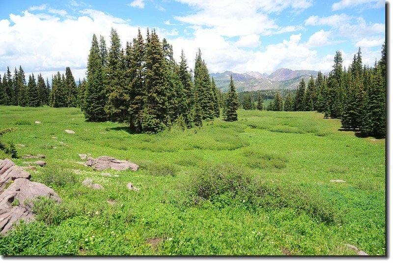 View to Gore Range from the saddle below Shrine Ridge 2