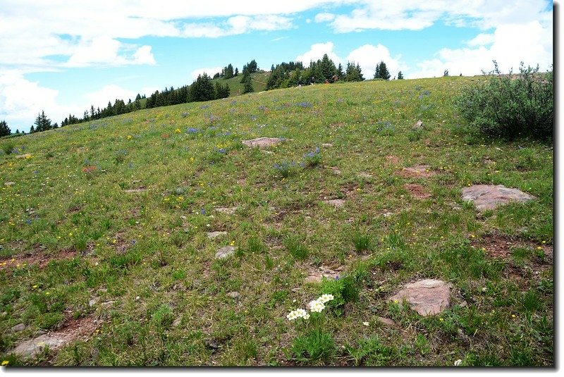 Looking up Shrine Mountain from Shrine Ridge