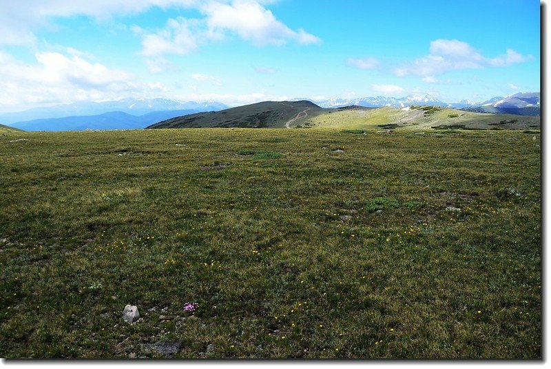 Looking at Mount Evans to Torreys Peak crest line from the Tundra