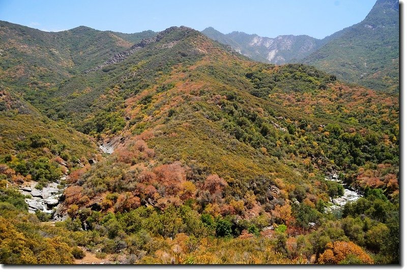 Mountain view &amp; Kaweah River from Generals Highway 3