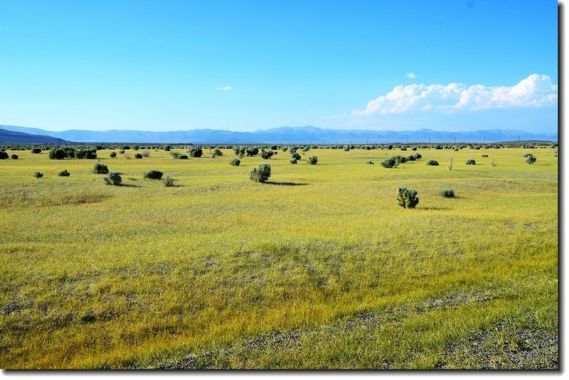 Meadows along US-6 HWY