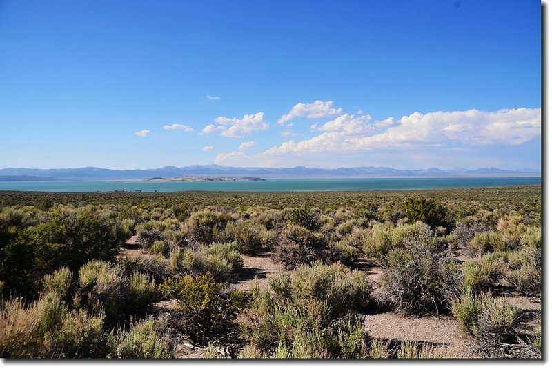 Mono Lake 1