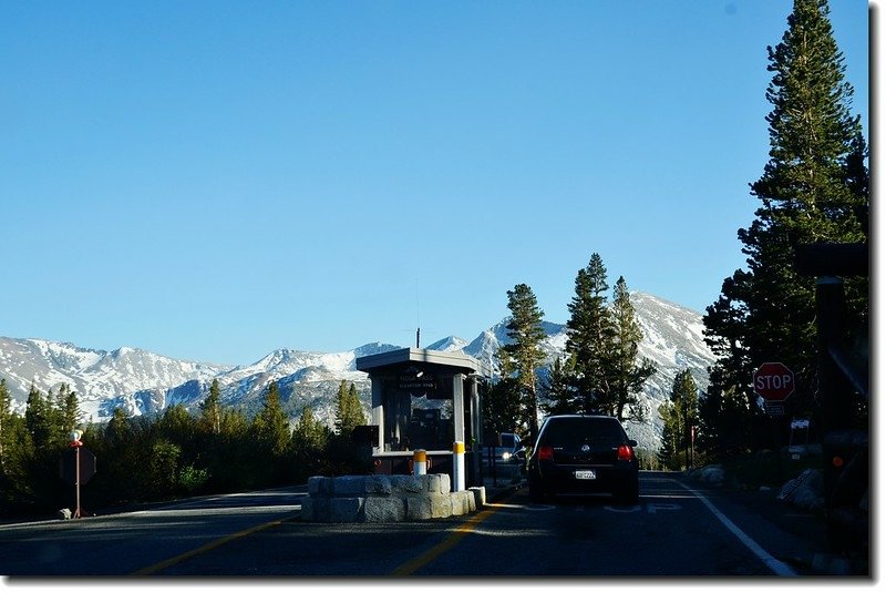 Tioga Road Entrance 1