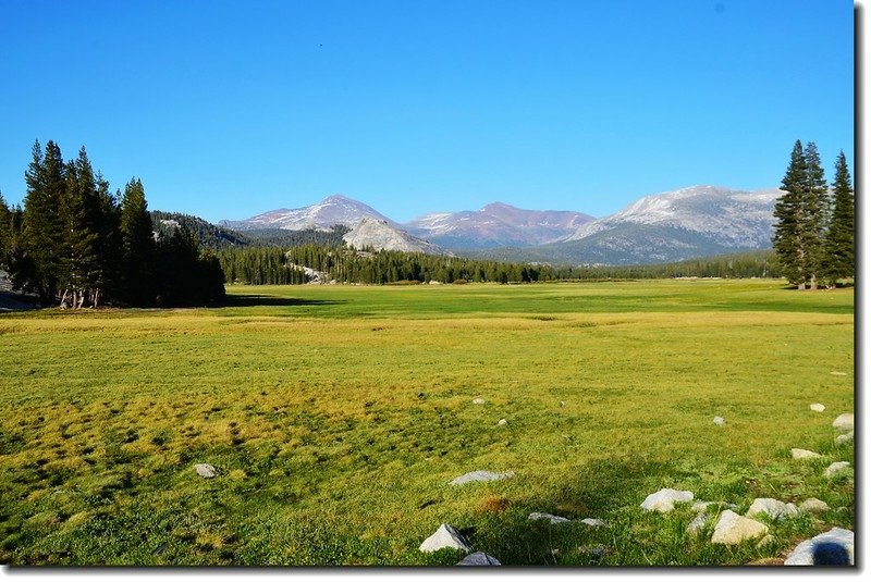 Mount Dana, Lembert Dome, Mount Gibbs and Mammoth Peak from Tuolumne Meadows