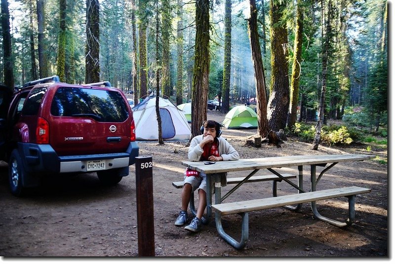 Site 502, Camping at Crane Flat campgroud 2