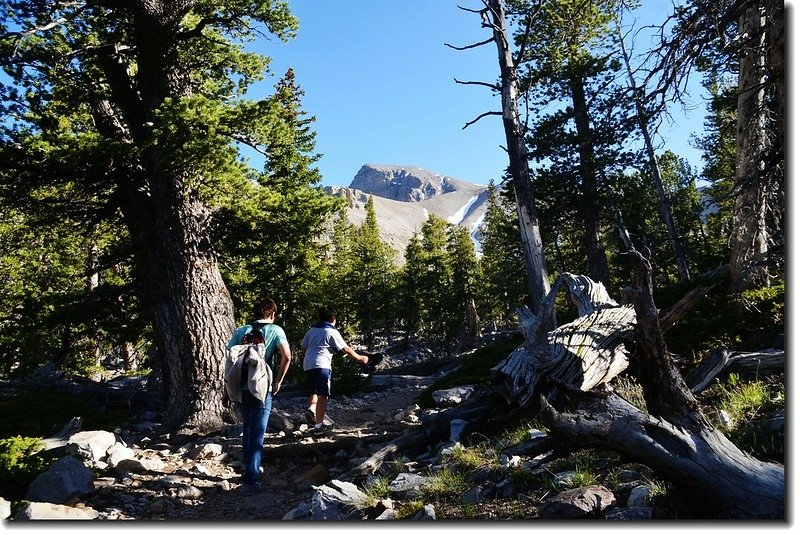 Alpine Lakes Trail 4