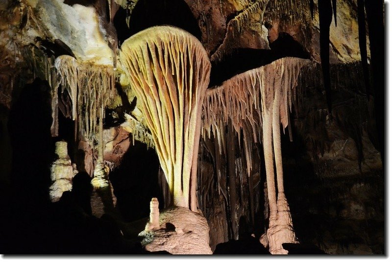 Shields in Lehman Cave 1