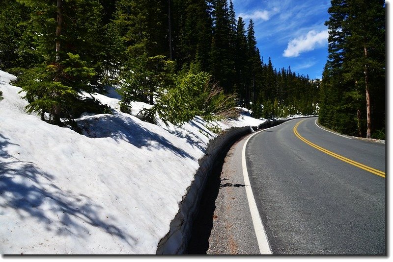 Trail Ridge Road 1