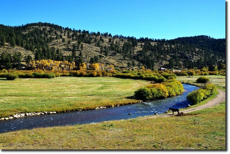 Aspen in Fall, Kenosha Pass, Colorado (2)