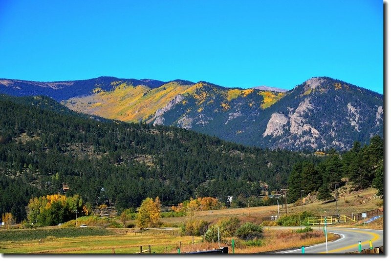 Aspen in Fall, Kenosha Pass, Colorado (1)