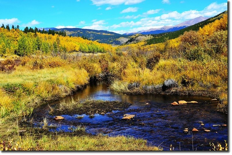 Aspen in Fall, Kenosha Pass, Colorado (27)