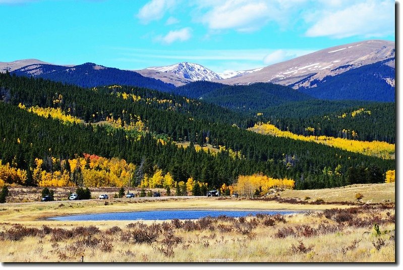 Aspen in Fall, Kenosha Pass, Colorado (38)