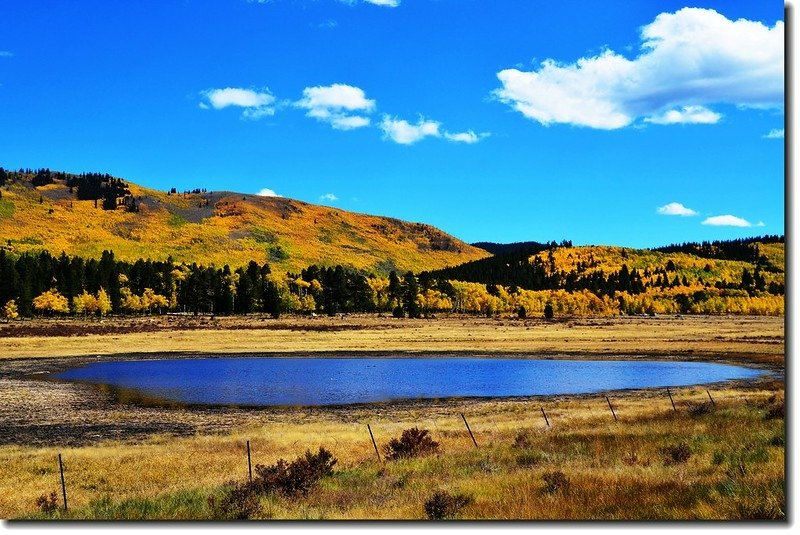 Aspen in Fall, Kenosha Pass, Colorado (46)