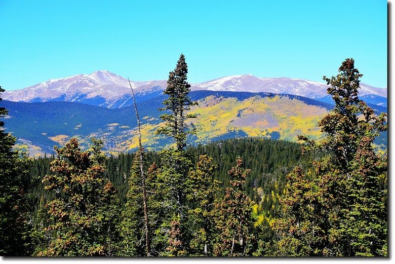 Fall colors in Squaw Pass, Colorado (18)