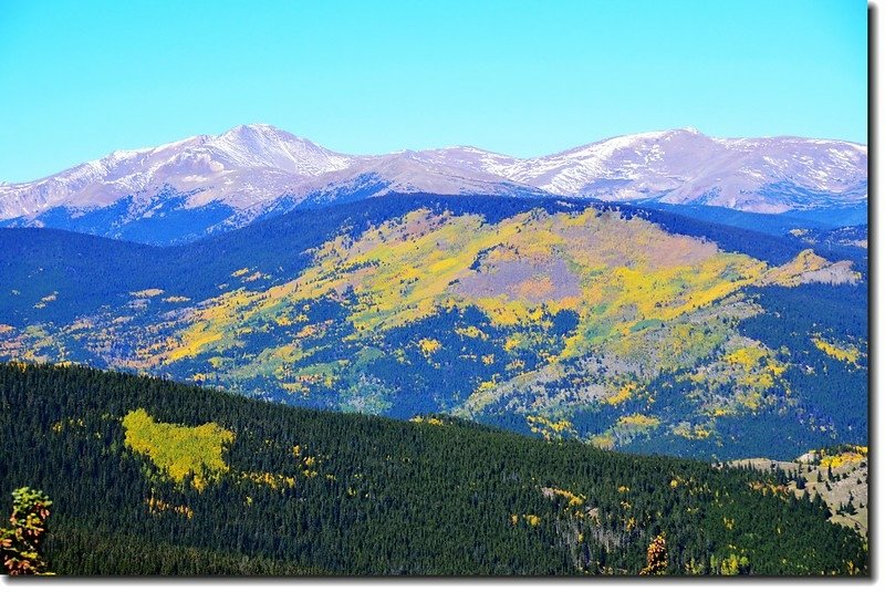 Fall colors in Squaw Pass, Colorado (17)