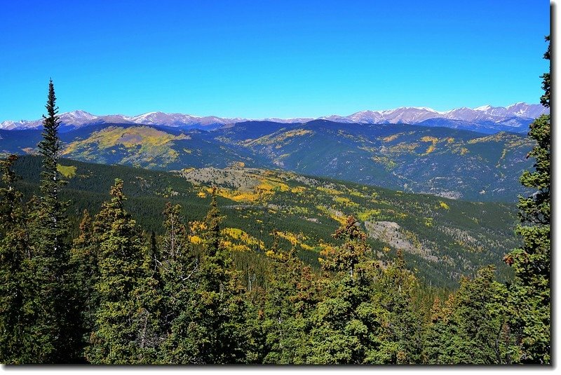 Fall colors in Squaw Pass, Colorado (13)