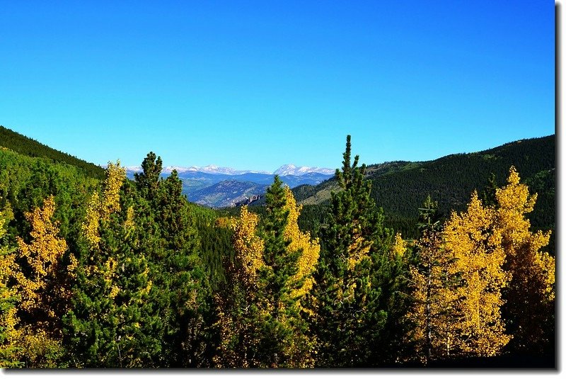 Fall colors in Squaw Pass, Colorado (5)