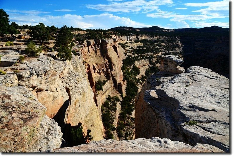 Looking down into the canyon from Cold Shivers Point 6