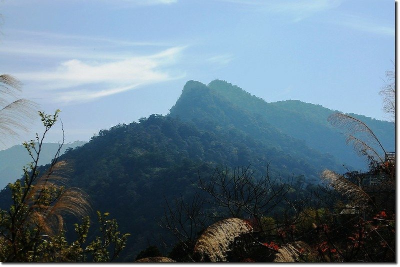 夫婦山(From 雅渡農場) 1