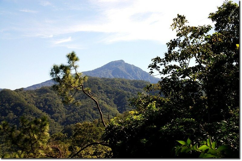 大分林山東眺鵝公髻山