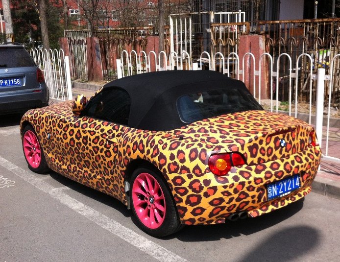 leopard-pink-bmw-thumb-800x617-786728