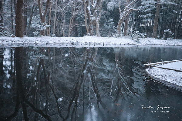 岩手景點 觀自在王院.png