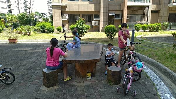 月輪中型鳥、角蛙餵食 | 分享飼養寵物文