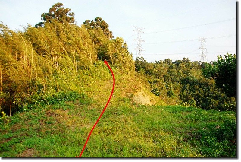 赤柯坪山登山步道 1