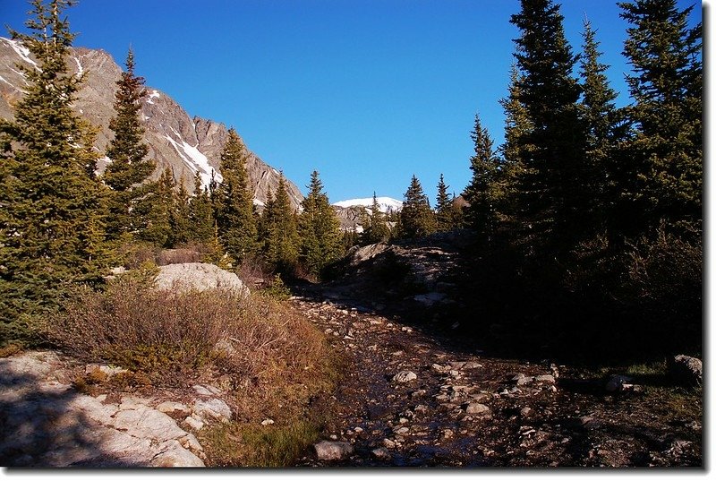 Roaring creek lies down in McCullough Gulch 2