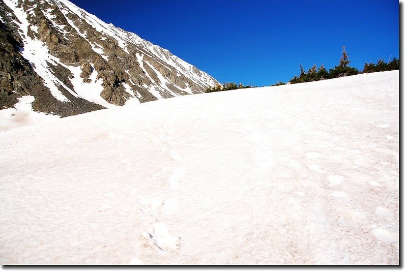 Snowfield