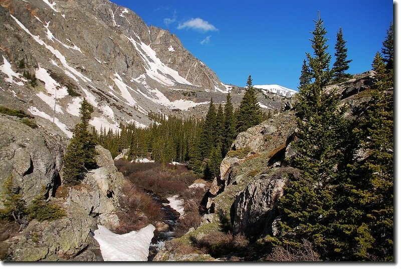 Roaring creek lies down in McCullough Gulch 6