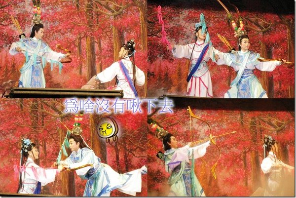 02 二十年後小狼王長大-002