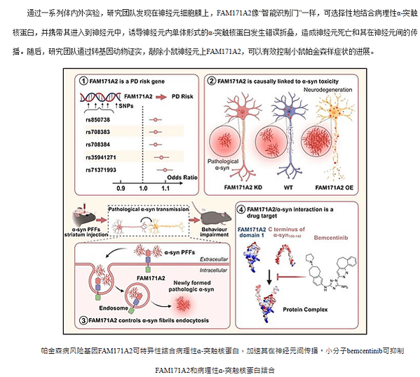 醫學突破 - 復旦大學在科學雜誌發表帕金森氏症治療全新靶點