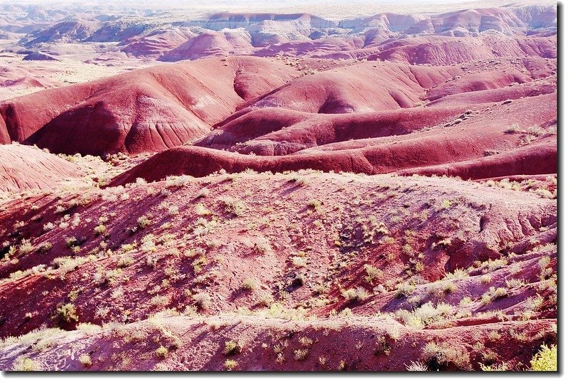 Painted Desert From Tiponi point 16